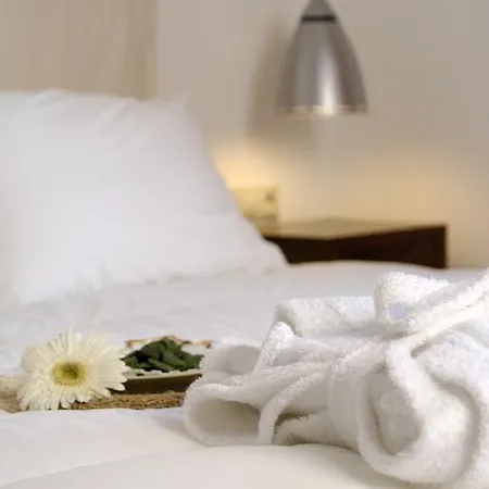 ثارو أوف ميكونوس بوتيك 5*